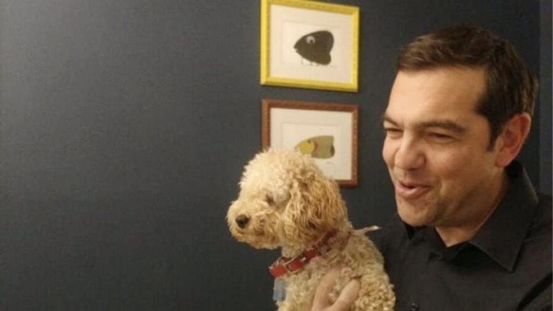 Τσιπρας - σκυάκι