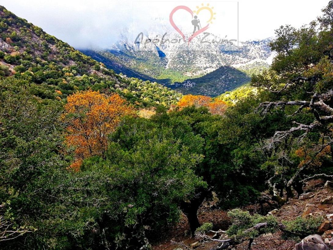 φαραγγι ρουβα