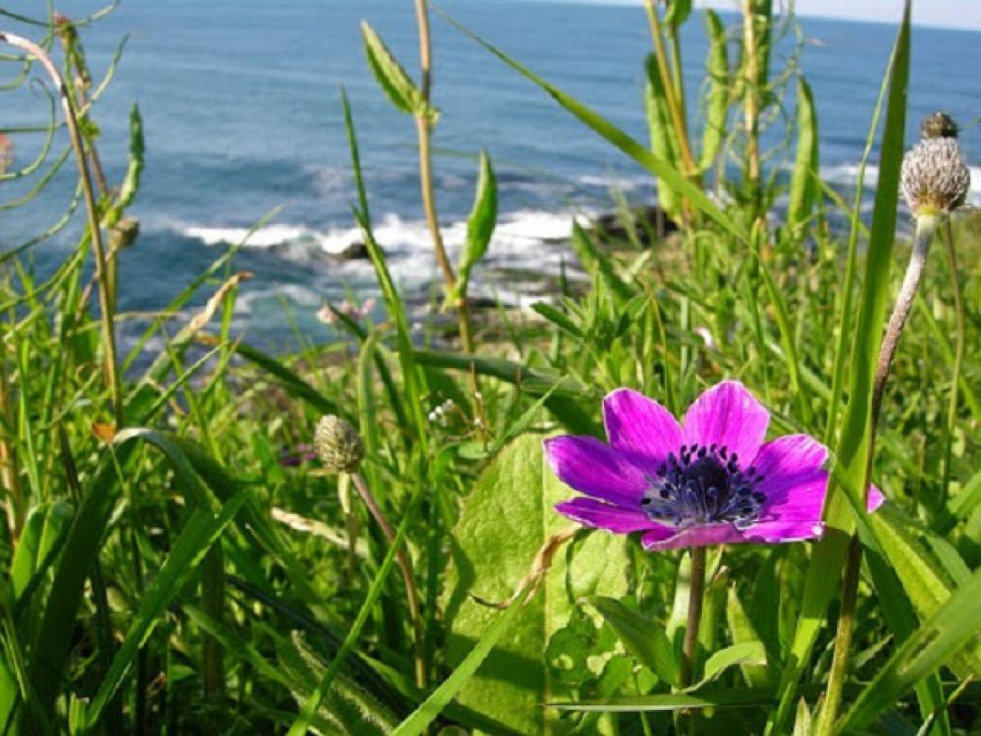 Θάλασσα - άνοιξη