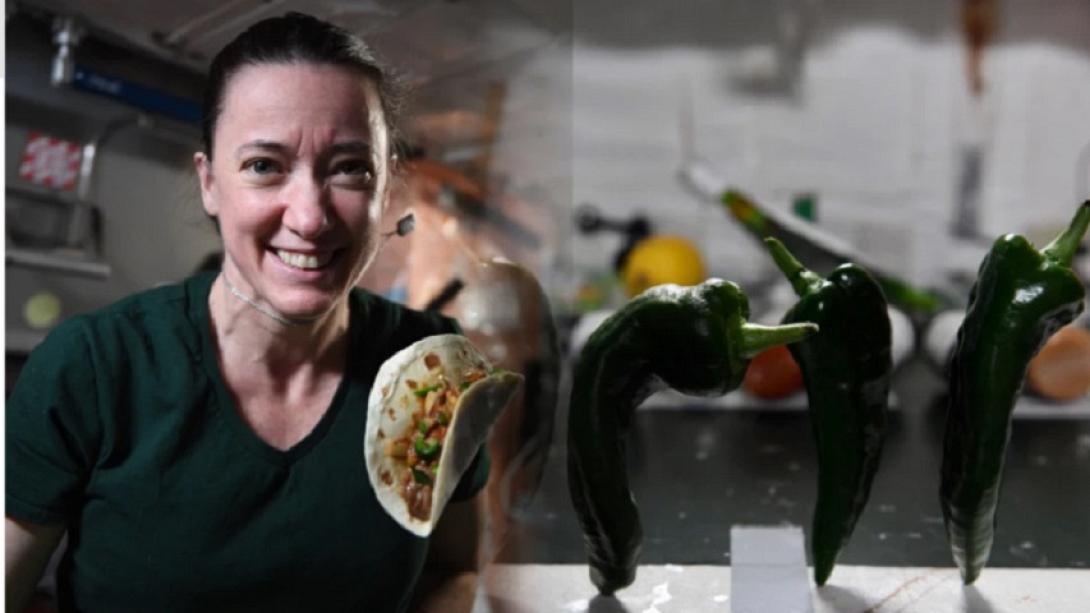 ΠΙΠΕΡΙΕΣ ΣΤΟ ΔΙΑΣΤΗΜΑ