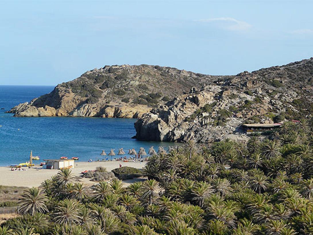 βάι φοινικόδασος