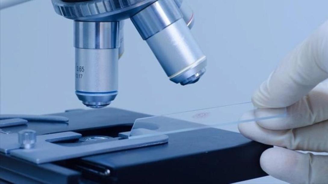 ΗΠΑ: Δεκάδες εργαζόμενοι εκτέθηκαν στο βακτήριο του άνθρακα