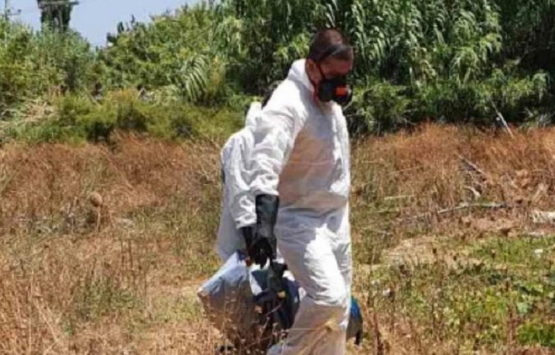 βαρέλι σκελετός