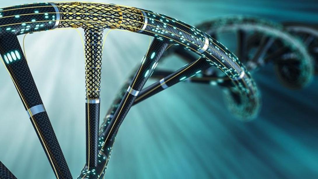 βιολογικός υπολογιστής