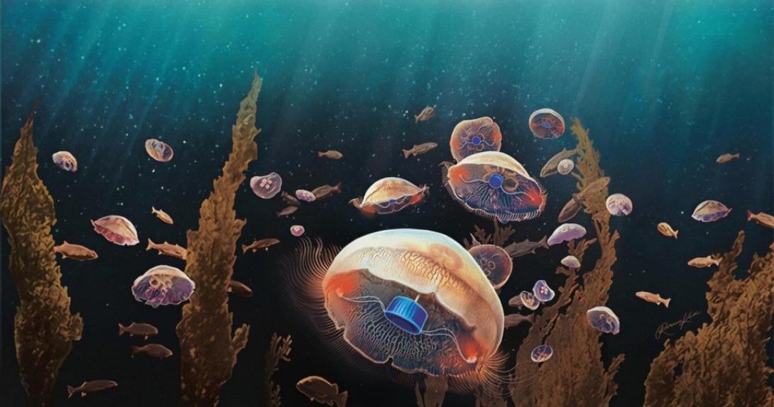 βιονική μέδουσα