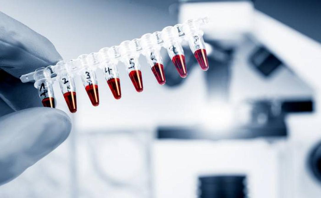 βλαστοκύτταρα