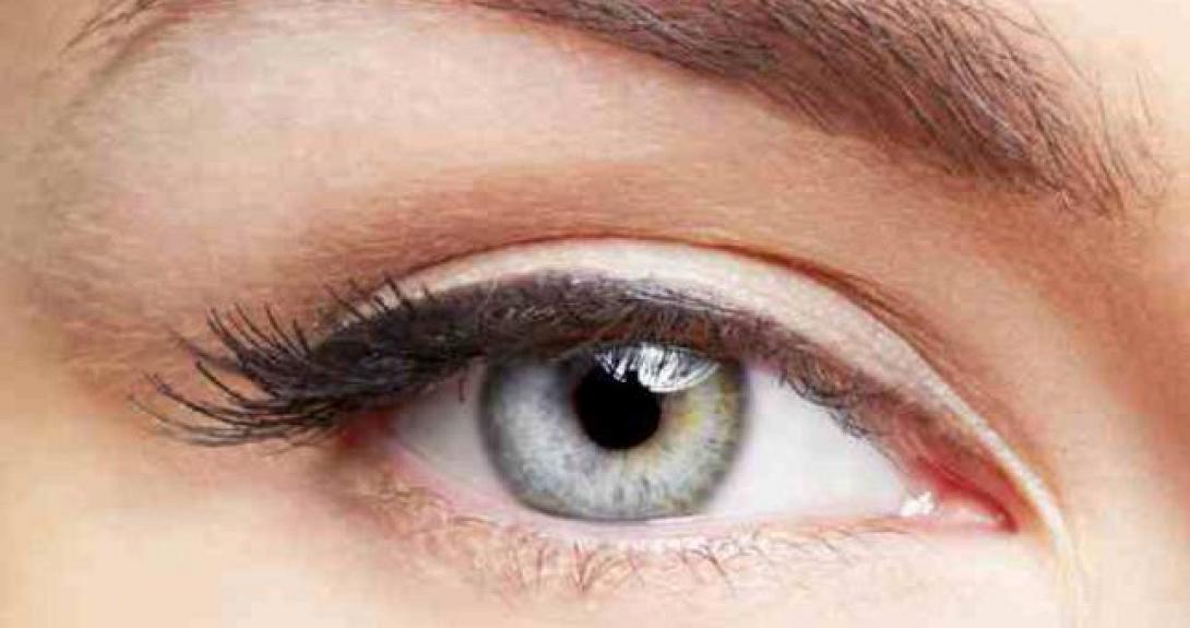 Αρκούν 13 χιλιοστά του δευτερολέπτου για να επεξεργαστεί ο εγκέφαλος μας μια εικόνα 