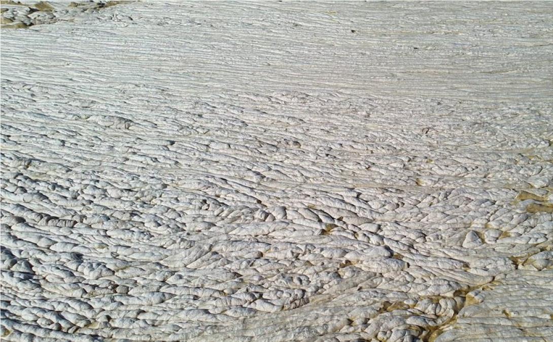 βλεννα τουρκια