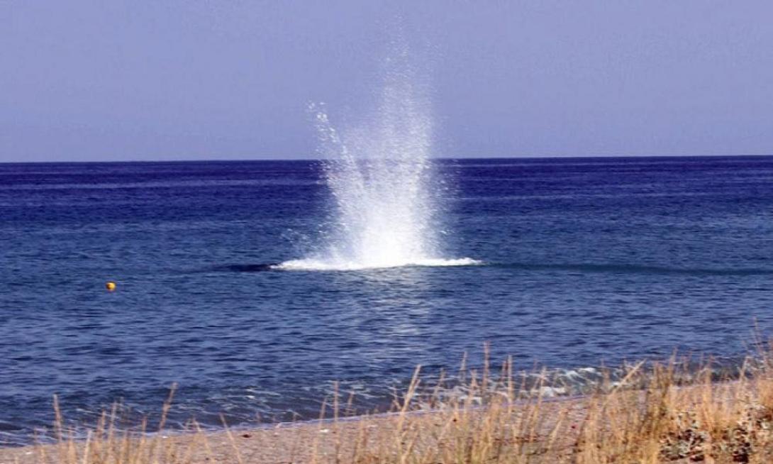 εξουδετέρωση