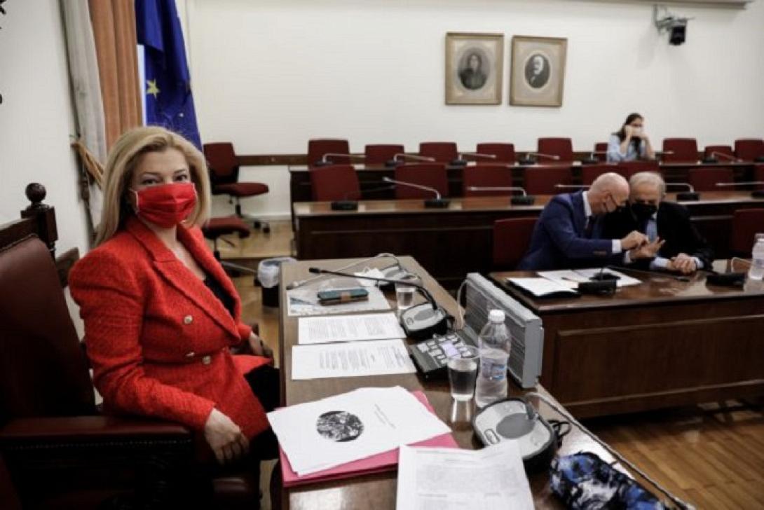 περιβαλλοντικη επιτροπη βουλη
