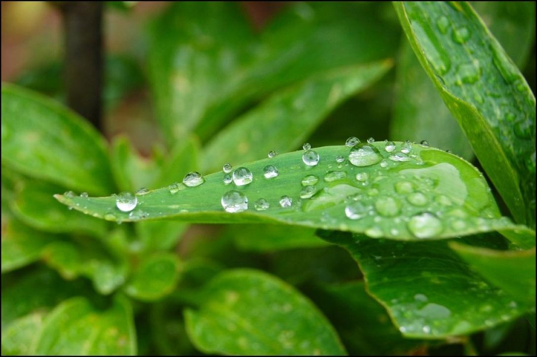 Επιστρέφουν οι βροχές 