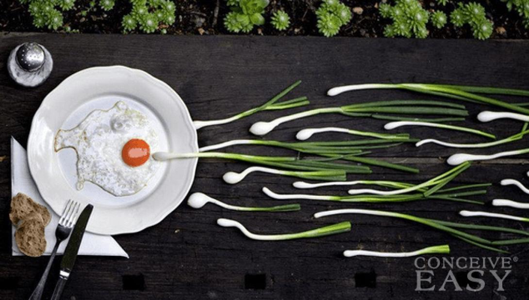 Τροφές που βελτιώνουν την ποιότητα του σπέρματος