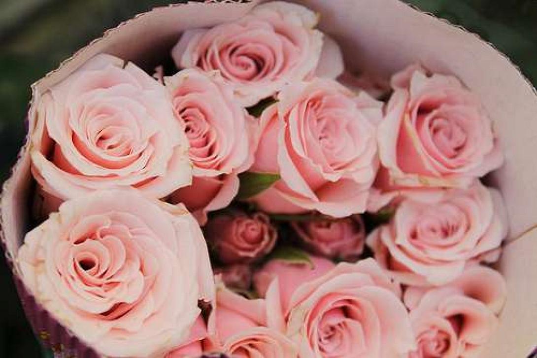 τριαντάφυλλα