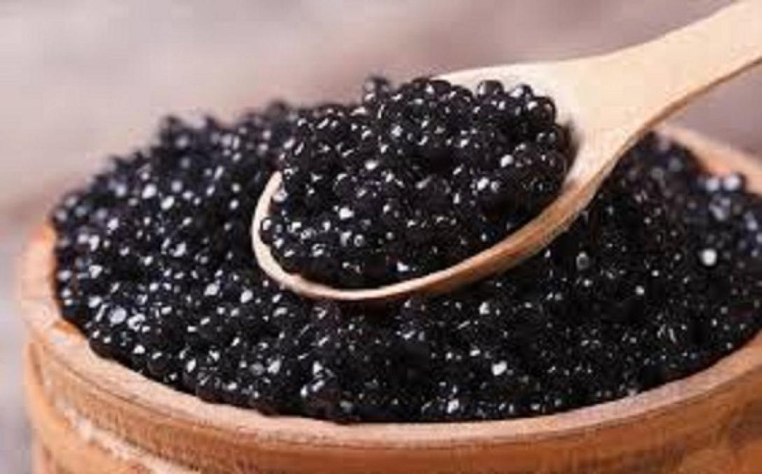χαβιαρι