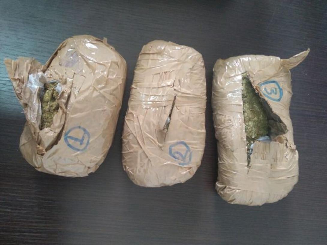 κανναβη χασις.jpg