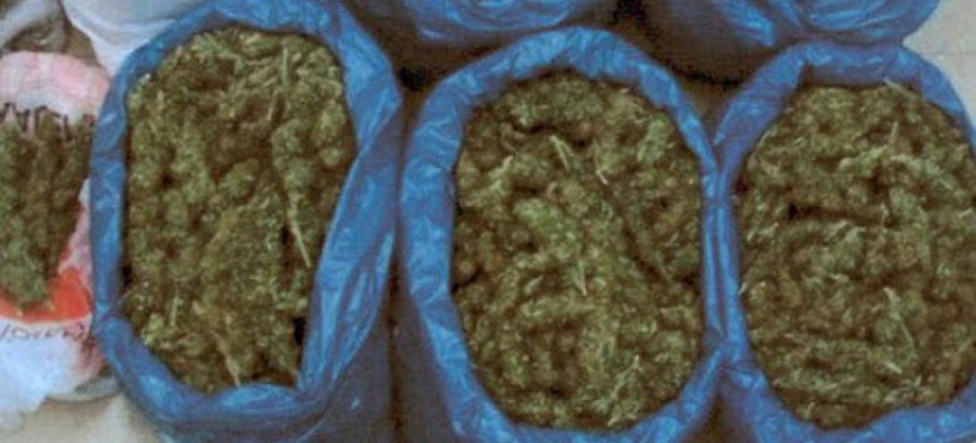 Αλβανία: Έκρυβε 2,3 τόνους κάνναβης σε φορτηγό