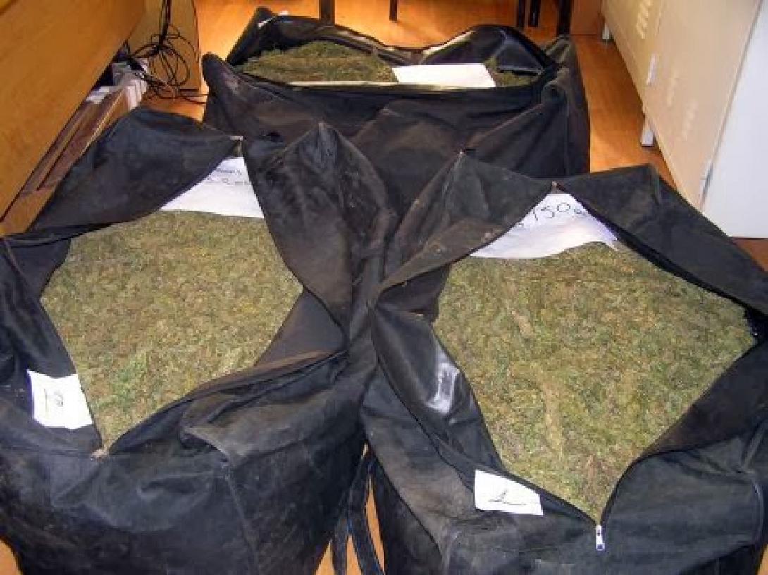 Αθώοι και οι 9 για την εγκληματική οργάνωση στις Ατσιπάδες