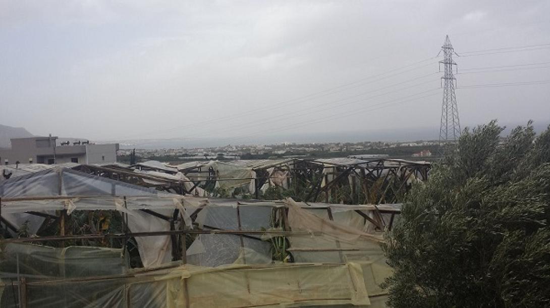 Σοβαρές ζημιές σε θερμοκήπια και καλλιέργειες στη Χερσόνησο από τους ανέμους (φωτο)