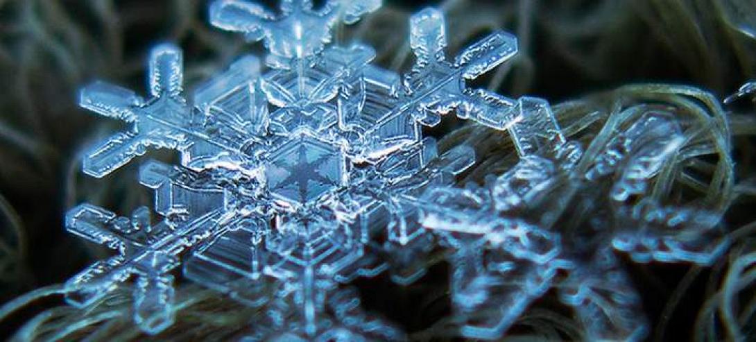 νιφάδα χιονιού