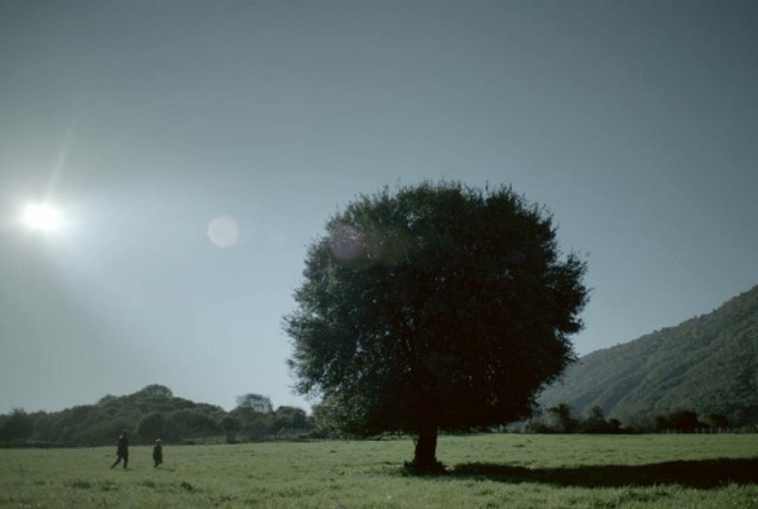 Νέο πρόγραμμα της Τράπεζας Πειραιώς για βιολογικά προϊόντα της Κρήτης