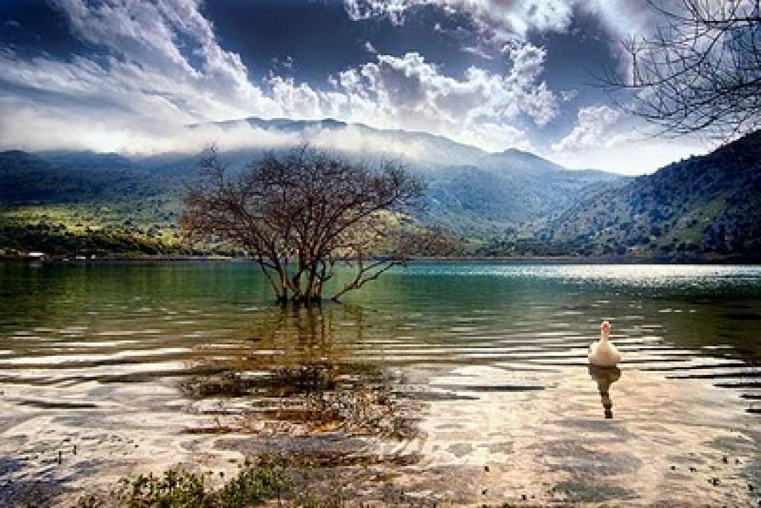 Δράση στο Λασίθι για τον εορτασμό της ''Παγκόσμιας Ημέρας Υγρότοπων''