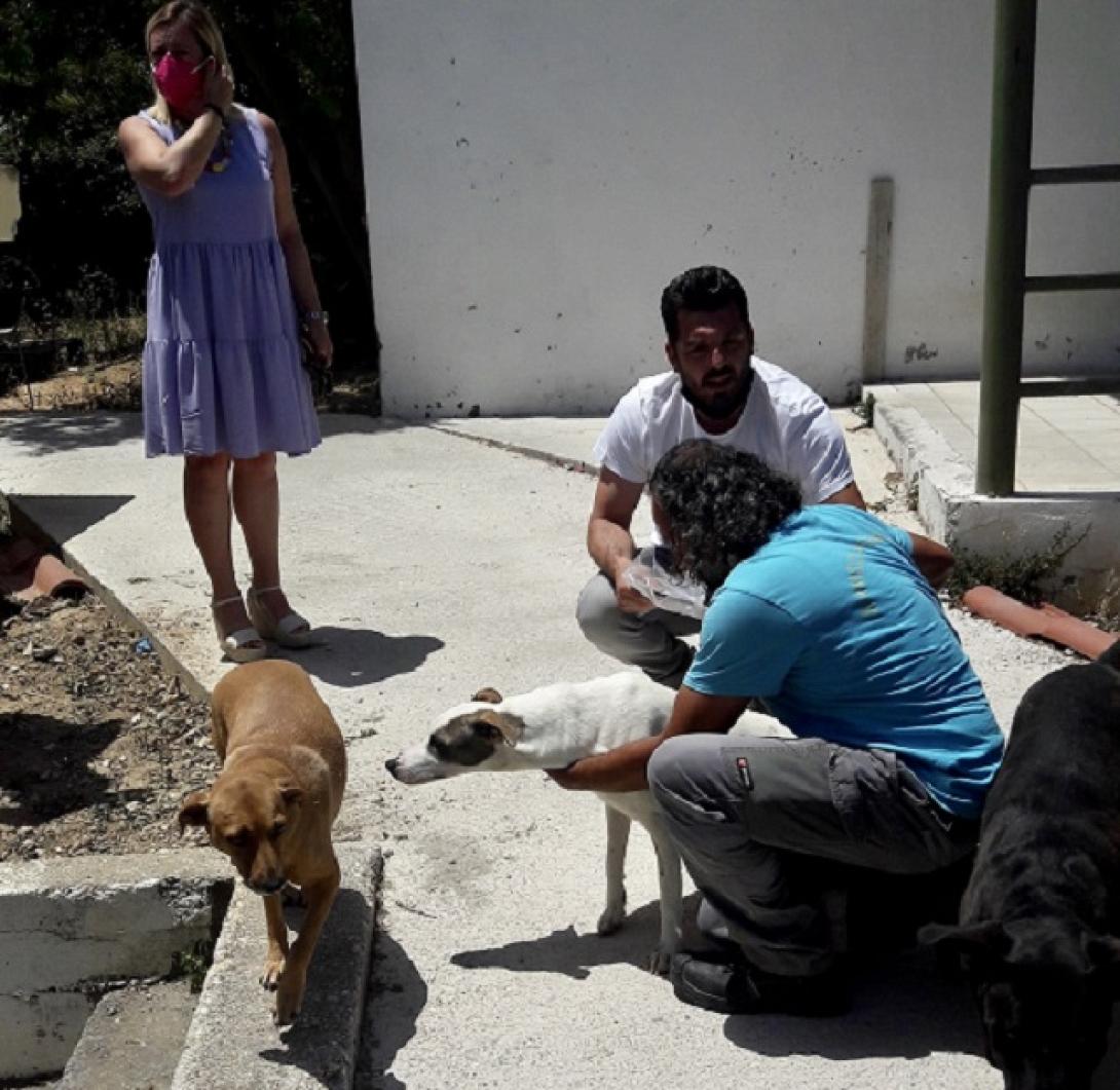 Δήμος Ηρακλείου: Oι εργαζόμενοι στην καθαριότητα υιοθέτυησαν αδέσποτα ζώα