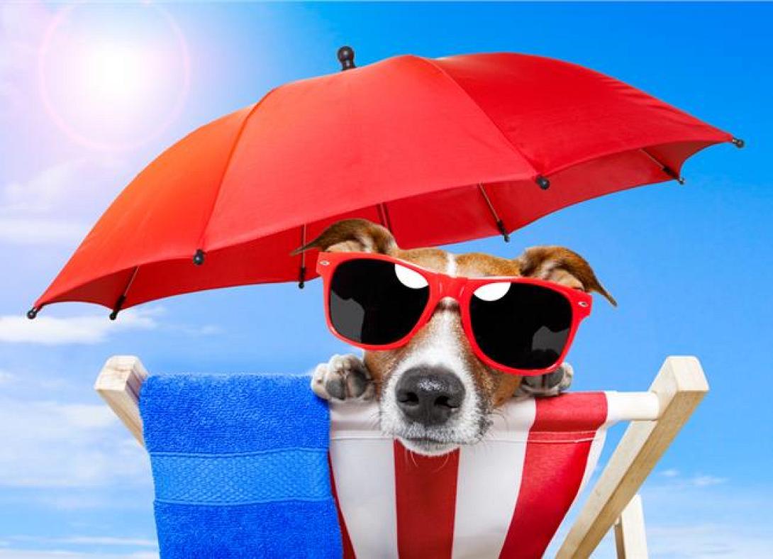 Υψηλές θερμοκρασίες και πάλι, για σήμερα στην Κρήτη