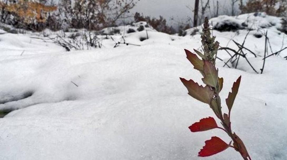 ζημιες ΕΛΓΑ