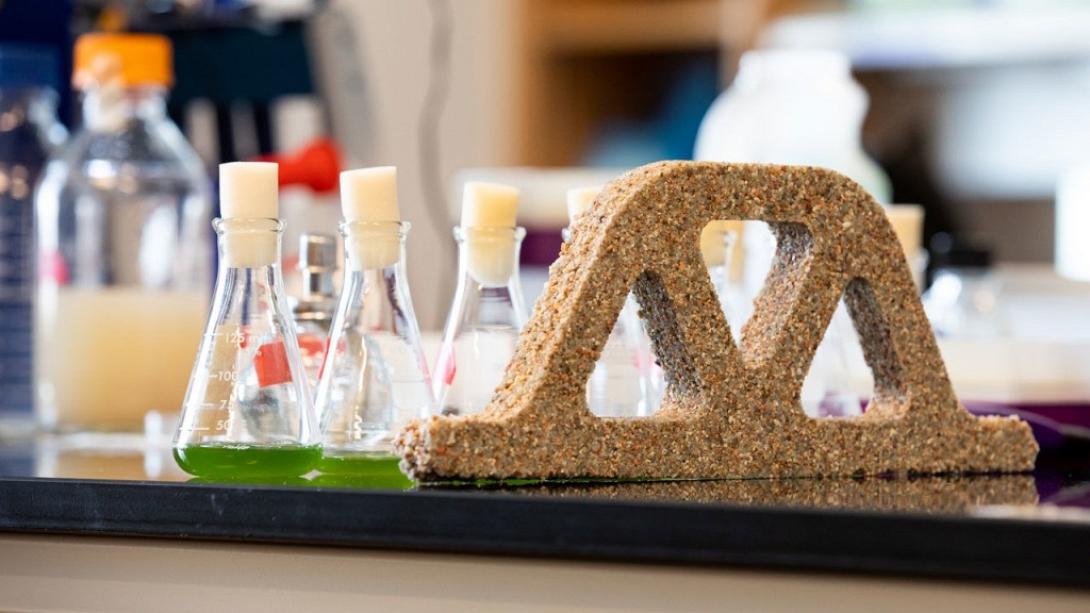 ζωντανό μπετόν από βακτήρια και άμμο