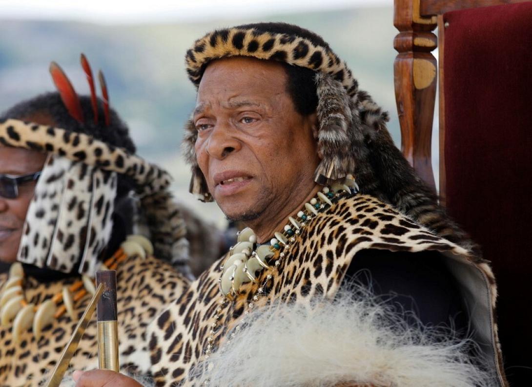 Goodwill Zwelithini