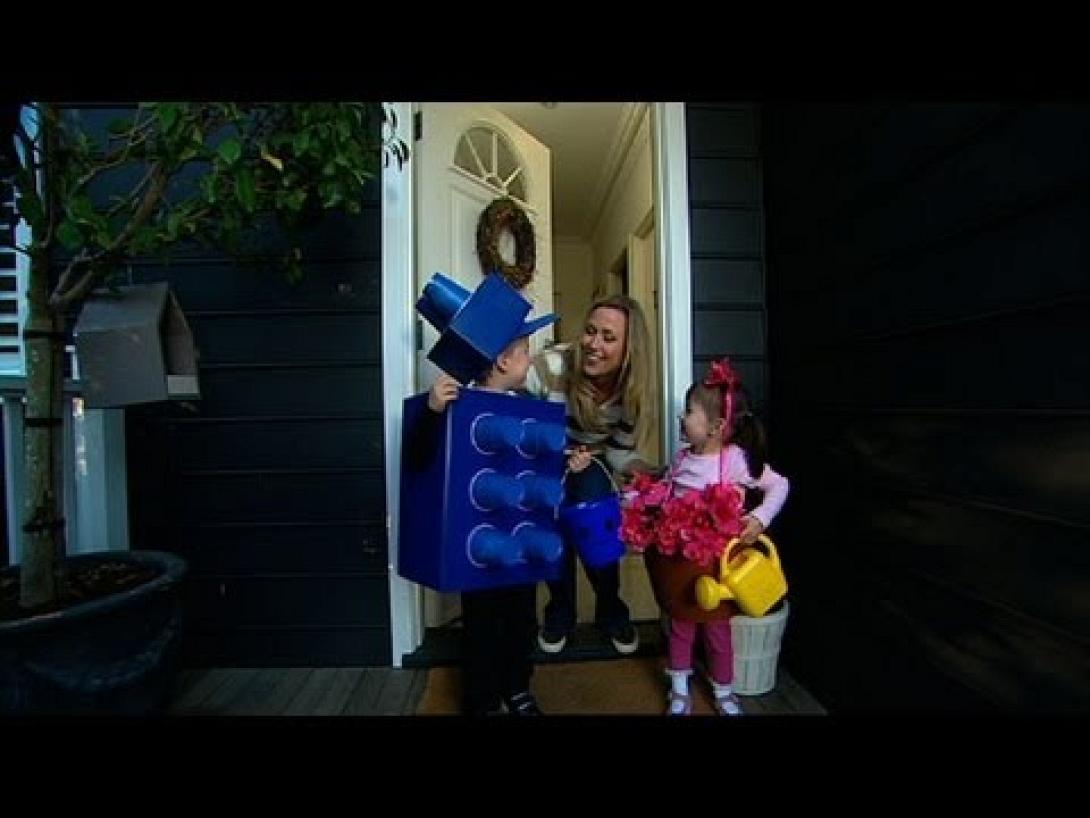 Αποκριάτικη στολή Lego και γλάστρα